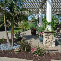 How to save valuable resources with your landscaping